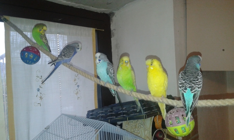 Primo volo :)